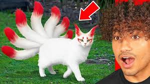 аяяяя бумбая!!!!