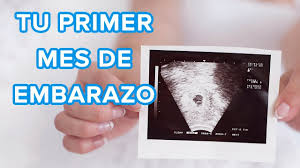 Tu Primer Mes De Embarazo Asi Crece Tu Bebe Asi Cambia Tu Cuerpo Youtube