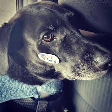 Tyler Rubenstein (@ty_wears_ties) • Instagram photos and videos