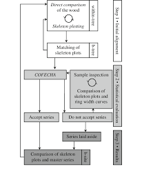 Flow Chart Summarising The Stepwise Crossdating Process B
