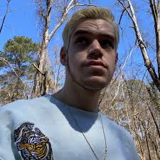 What if Bidoof Army na? Hayss