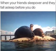 Save and share your meme collection! Finding Dory Memes Are The Best Memes Album On Imgur