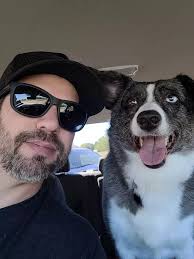 Abilene's Cats and Dogs Need Our Help Now to Empty the Shelter