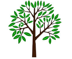 Carmichael Family OnLine