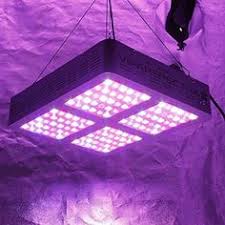 We did not find results for: 39 Led Grow Ideas Led Grow Led Grow Lights Grow Lights
