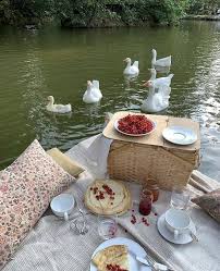 Summer picnic picnic parties beach picnic picnic basket food for special event. Aesthetic Picnic Picknick Essen Romantische Picknicks Asthetisches Essen
