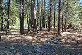 Butte Creek Campground Lassen National Forest Eagle Lake Ranger District Eagle Lake Butte Campground