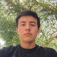 Soaring Flame and the Dragon-transcending Magimal by Weiqi Wang