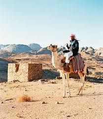 Camel & horse trekking or hiking adventures to suit everyone. 23 Sinai Collection Ideas Egypt Sinai Peninsula Saint Katherine