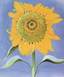Georgia O Keeffe Sunflower New Mexico 1935 Painting Best Sunflower New Mexico 1935 Paintings For Sale Georgia O Keefe Art Georgia O Keeffe Paintings O Keeffe Paintings