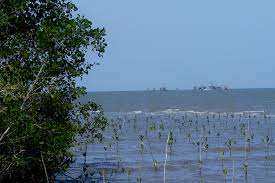Customs and islamic religious life of suku laut, isolated ethnic group in bekawan, kecamatan mandah, kabupaten indragiri hilir, riau province; Ketika Suku Laut Tidak Lagi Di Laut Mengapa Mongabay Co Id Mongabay Co Id