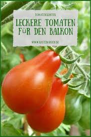 So Lecker Sind Die Tomatensorten Im Balkon Garten 2019 Tomaten Sorten Tomaten Anbauen Tomatensorten