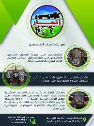 pin on مزارع ثروة حيوانية