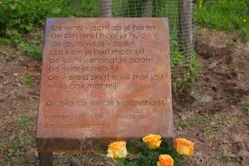 Afbeeldingsresultaat voor dineke van es verwoeste steden