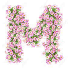 Its name in english is em (pronounced / ˈ ɛ m / ), plural ems. Letter M Alphabet With Zinnia Flower Abc Concept Type As Logo Typography Design Stock Photo Picture And Royalty Free Image Image 40321158