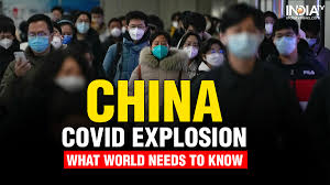 China Covid explosion Epidemiologist warning for world three new Covid  waves 60 percent Chinese will be infected | World News – India TV