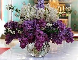 Keep Your Bouquet Fresh For 3 Weeks With These Handy Tips Lilac Bouquet Lilac Flowers