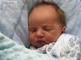 Nidzica. Witajcie na świecie