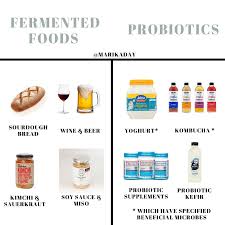 Fermented Foods Vs Probiotics Marika Day