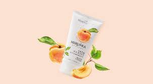 Image result for Apricot 1983 Hussmann