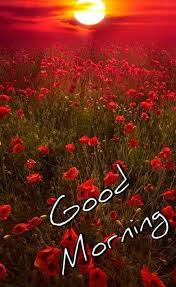 Good morning picture created by mitticuta using the free blingee photo editor for animation. Good Morning Flowers Picture For Android Apk Download