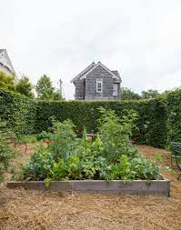 Sweet peas, honeysuckle, lavender, stocks, dahlias, scabious, cat mint, cornflower, and many, many more are all equally deserving of their spot in the cottage garden. Hardscaping 101 Hedges Gardenista