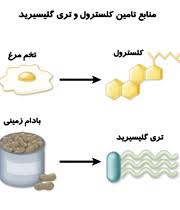 Image result for ‫کلسترول‬‎