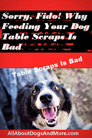 Sorry Fido Why Feeding Your Dog Table Scraps Is Bad Dog Table Your Dog Dogs
