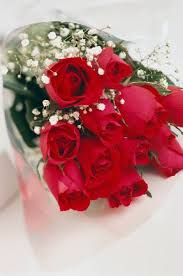 200 Pictures Of Roses Best Free Roses Photos Pics Roses Valentines Day Valentines Flowers Flowers For Valentines Day