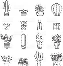 Cactus Outline Google Search Cactus Google Outline Search Cactus Outline Succulent Tattoo Succulents Drawing