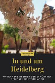 Auf Erkundungstour In Und Um Heidelberg Heidelberg Reisen Fahrradtour