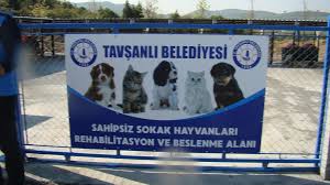 Haberler Yalova Tavsanli Belediyesi Resmi Sitesi