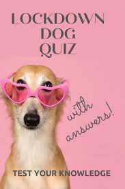 Feb 15, 2021 · dog trivia questions. Printable Dog Picture Quiz Quiz Questions And Answers