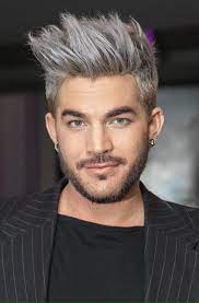 How To Make An Interesting Art Piece Using Tree Branches Ehow Grey Hair Men Adam Lambert Mens Hairstyles