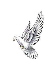 Black And White Pigeon Drawing White Dove Flying Side View Tattoo Jpg 480 622 Dove Tattoo Design Dove Tattoo Flying Tattoo