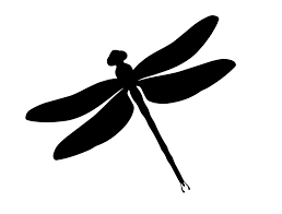 Dragonfly Silhouette Rooweb Dragonfly Silhouette Silhouette Clip Art Silhouette Stencil