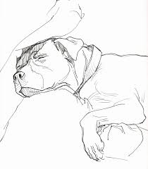 Learn about jasmine's house, the passionate organization working to stop the violence against these gentle companions for good. Pitbull Terrier Coloring Pages Baby Pitbull Coloring Pages Kids Coloring Home