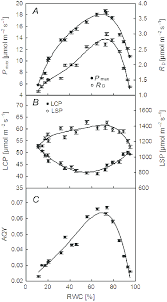 A k st of 0 means that dust is not combustible; The Values Of The Maximum Net Photosynthetic Rate Pmax And The Light Download Scientific Diagram