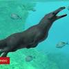 Imagen de la noticia para bbc de BBC Mundo