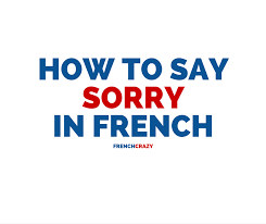 Why saying 'sorry' is hard. How To Say Sorry In French Frenchcrazy