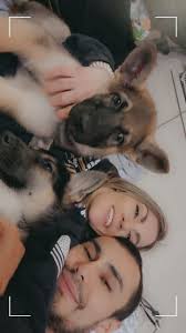 Missing my two male shepherds they kept getting out but I finally figured  out how please help get them home been gone since 2 and I'm really starting  to freak out astro