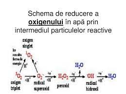 Natura reprezinta in sensul ei larg mediul inconjurator, cu tot ceea ce ne inconjoara.prin mediu inconjurator se intelege ansamblul de elemente care, in complexitatea relatiilor lor, constituie cadrul, mijlocul si conditiile cauciucul natural. Ppt Cicluri Biogeochimice Powerpoint Presentation Free Download Id 6455370