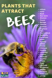 We did not find results for: Southeast Summer 2019 Pollinator Plants Bee Garden Bees Plants