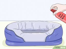 Maybe you would like to learn more about one of these? How To Stop A Puppy From Chewing Its Bed 11 Steps With Pictures