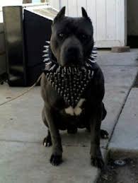 Pin On Pretty Ass Pitt