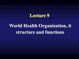Lecture 9 World Health Organization It Structure And