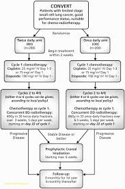 Labels Per Sheet Template Polaroid White Mailing Templates Inside 33 Up Label Template Word In 2020 Label Template Word Address Label Template Return Address Labels Template
