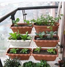 Cara tanam pokok dalam pasu/pot supaya cepat berbuah dari bawah pasu/pot 1. Tanam Sayur Dalam Pasu Sesuai Untuk Rumah Teres Dan Apartmen Blog Santai Santai Jerr