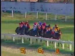 Jockey Horse Race Tube Bolrace is india's best horse racing portal providing you with complete and accurate information of all the horse racing events in india. horse race tube