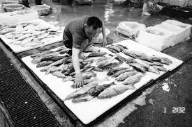Fishery port road singapore, 619742 tel: The Leica M3 Nikon 28ti And The Jurong Fishery Port By Hern Tan 35mmc